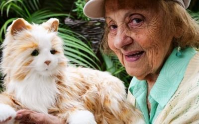Robotic puppies and kittens trigger happy memories in dementia patients