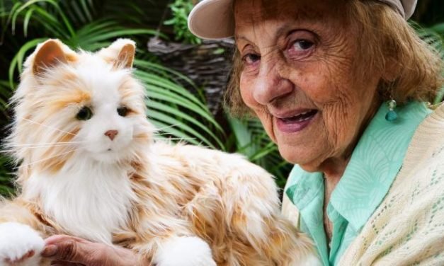 Robotic puppies and kittens trigger happy memories in dementia patients