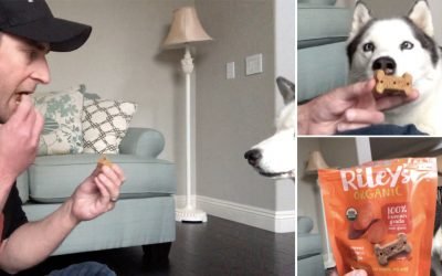 A Treat You Can SHARE with Your Dog? These Organic Baked Treats Taste Amazing to Pups & People