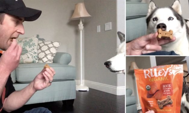 A Treat You Can SHARE with Your Dog? These Organic Baked Treats Taste Amazing to Pups & People