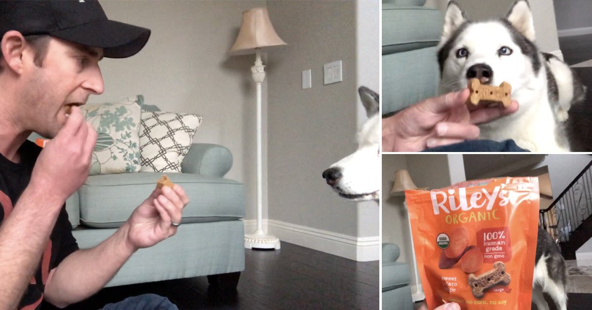 A Treat You Can SHARE with Your Dog? These Organic Baked Treats Taste Amazing to Pups & People