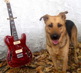 16 Songs About Dogs That You&rsquo;ll Want to Play To Your Dog On Repeat