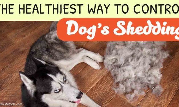 Bad Advice for Pet Hair, Almost Never Recommended