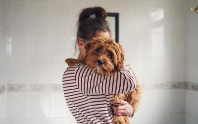Losing a pet in a breakup is the hardest part of splitting no one talks about—here are tips to deal