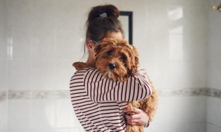 Losing a pet in a breakup is the hardest part of splitting no one talks about—here are tips to deal