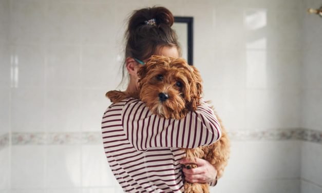 Losing a pet in a breakup is the hardest part of splitting no one talks about&mdash;here are tips to deal