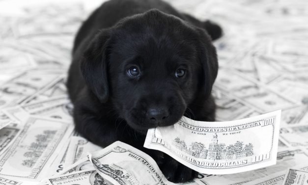 Even with pet insurance, owning a dog or cat comes with medical bills, hidden costs
