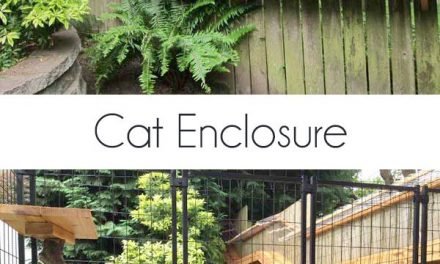 A reader built this cat enclosure inspired by my own DIY cat enclosure. It turned out fantastic.