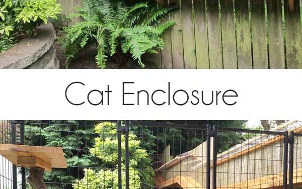 A reader built this cat enclosure inspired by my own DIY cat enclosure. It turned out fantastic.
