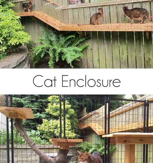 A reader built this cat enclosure inspired by my own DIY cat enclosure. It turned out fantastic.