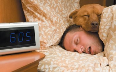 Why is My Dog Sleeping in Bed With Me? 10 Reasons