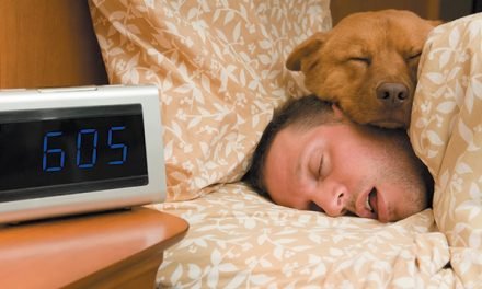Why is My Dog Sleeping in Bed With Me? 10 Reasons