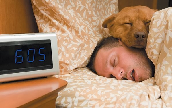 Why is My Dog Sleeping in Bed With Me? 10 Reasons