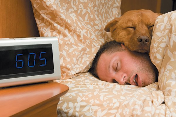 Why is My Dog Sleeping in Bed With Me? 10 Reasons
