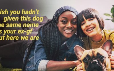The Truth About Cats and Dogs and Gay Dating