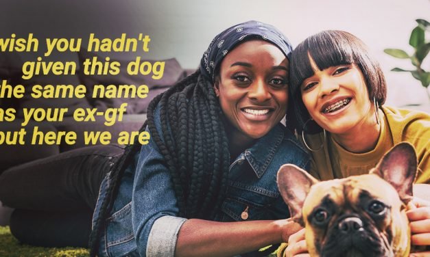 The Truth About Cats and Dogs and Gay Dating