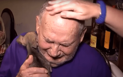 Adorable New Puppy Helps Mend Hearts Broken by Tragedy
