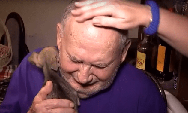 Adorable New Puppy Helps Mend Hearts Broken by Tragedy