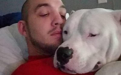 Man Willing to Sell Car and Lose Job to Save His Canine Friend
