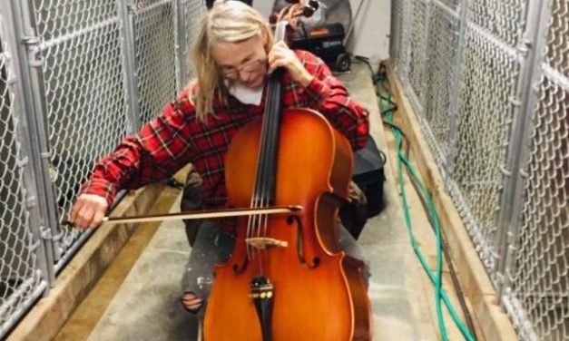 Nebraska Cellist Gets Surprising Reaction From Shelter Dogs