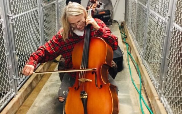 Nebraska Cellist Gets Surprising Reaction From Shelter Dogs