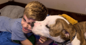 Cupid, Draw Back Your Bow: Boy and Rescue Pup Adopted on Same Day