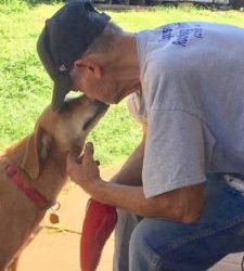 Terminally Ill Man’s Dying Wish Is for His Rescue Dogs to Find Forever Home