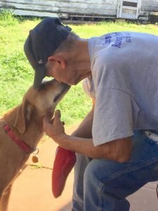 Terminally Ill Man’s Dying Wish Is for His Rescue Dogs to Find Forever Home