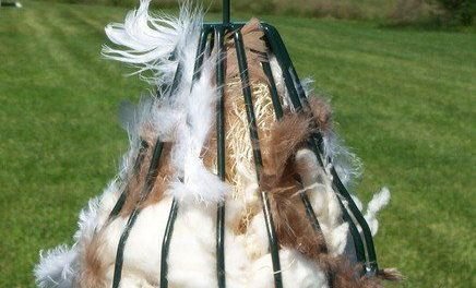 Birdie Bell with Nesting Material – CheeryBird.com