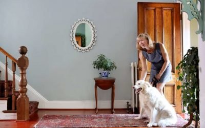 6 Smart Home Devices for a Healthy and Happy Pet