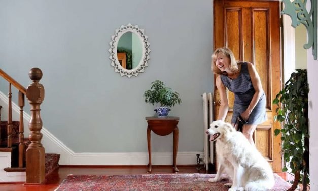 6 Smart Home Devices for a Healthy and Happy Pet