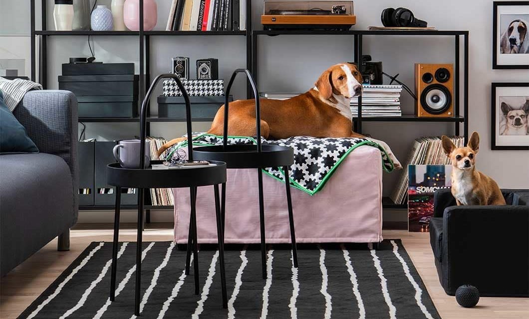 IKEA Celebrates Pets’ Places in Our Homes with New Furniture Collection