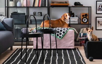 IKEA Celebrates Pets’ Places in Our Homes with New Furniture Collection