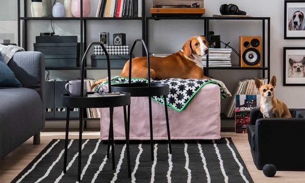 IKEA Celebrates Pets’ Places in Our Homes with New Furniture Collection