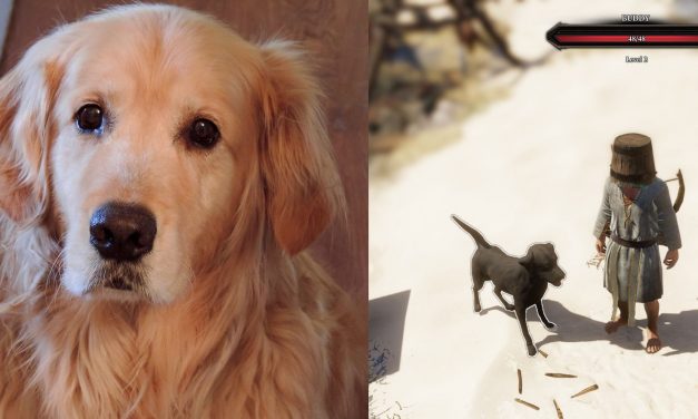 The pets immortalised in videogames by their developer owners