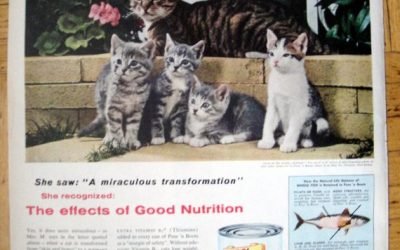 1956 Puss'n Boots Cat Food- Kittens Chandoha Photo-Original 13.5 * 10.5 Magazine Ad-Pet Food