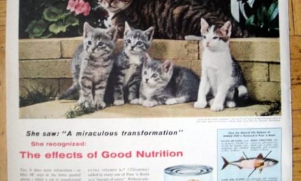 1956 Puss'n Boots Cat Food- Kittens Chandoha Photo-Original 13.5 * 10.5 Magazine Ad-Pet Food