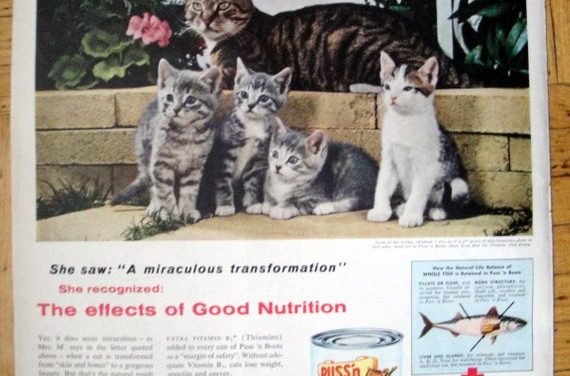1956 Puss'n Boots Cat Food- Kittens Chandoha Photo-Original 13.5 * 10.5 Magazine Ad-Pet Food