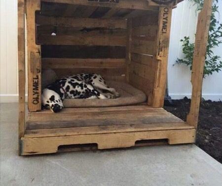 The maxx dog house #customdoghouses