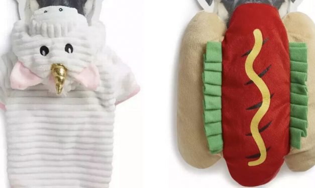 Primark launches adorable new pet clothing line – and prices start from &pound;7