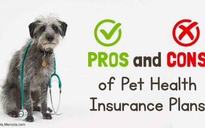 Is pet insurance worth the cost of premiums?