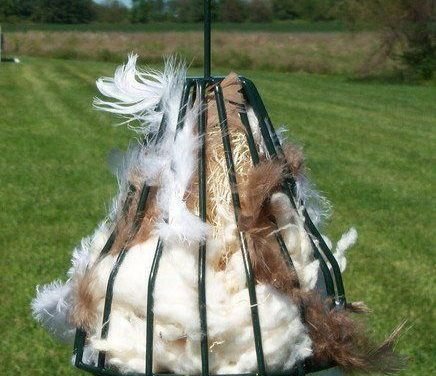 Birdie Bell with Nesting Material – CheeryBird.com #beekeepingchecklist
