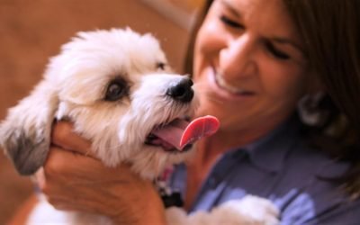 Women leaving violent situations come here because they can bring their pets