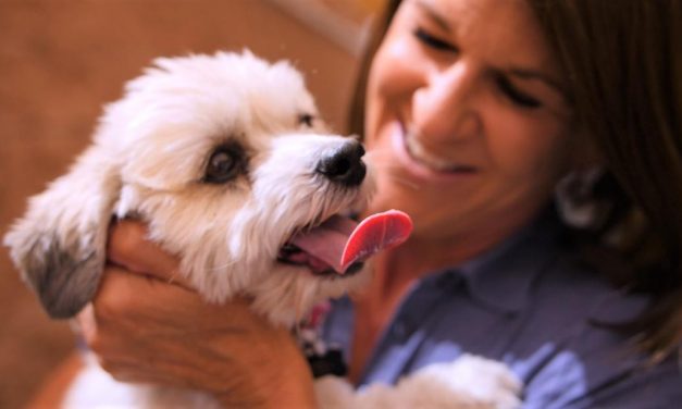 Women leaving violent situations come here because they can bring their pets