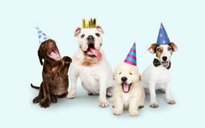 9 Trusted Tips to Help Your Pet Live Longer