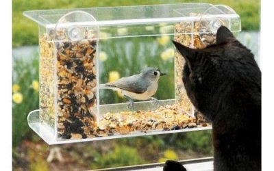 Found it at Wayfair – Window-Mount See-Through Tray Bird Feeder