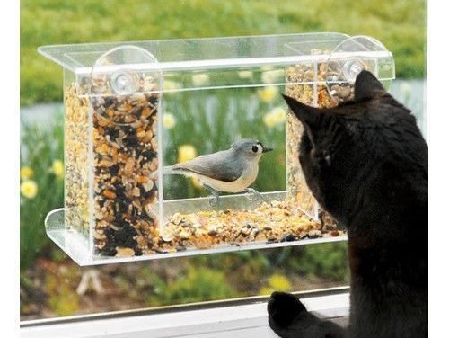 Found it at Wayfair – Window-Mount See-Through Tray Bird Feeder