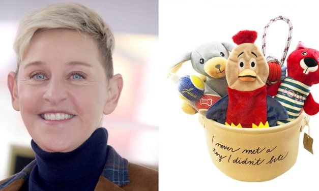 These Adorable Dogs Toys Are Ellen DeGeneres-Approved — and You Can Get 7 for Less Than $20