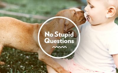 How Do I Introduce My Pets to My New Baby?