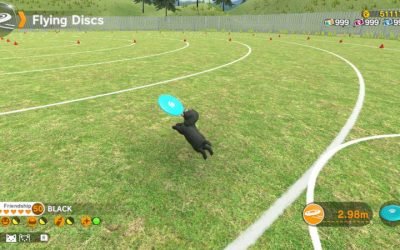 Little Friends: Dogs & Cats for Nintendo Switch – What you need to know